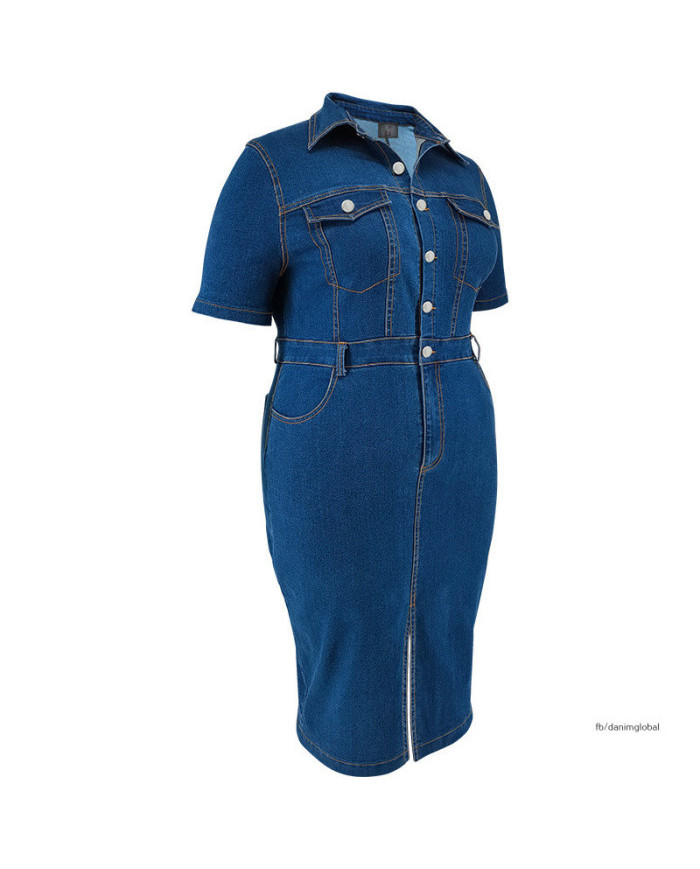 Danim Mario Denim Midi Dress (Navy-Blue )