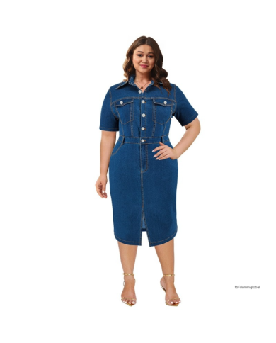 Danim Mario Denim Midi Dress (Navy-Blue )