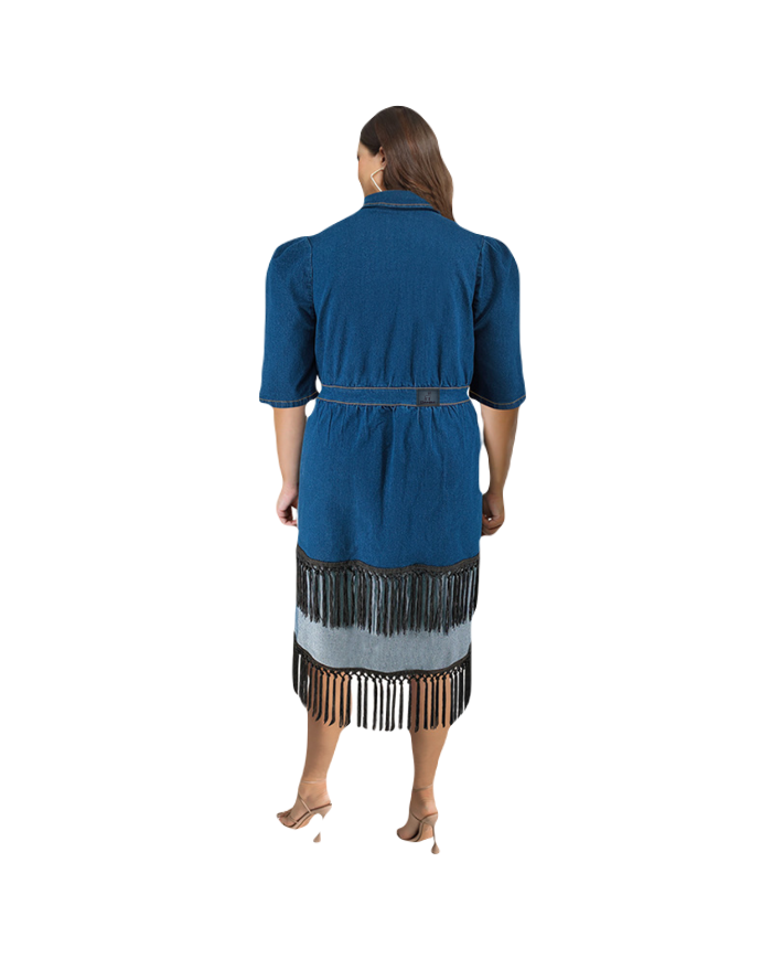 Danim Mario Denim Maxi Dress (Green-Blue)