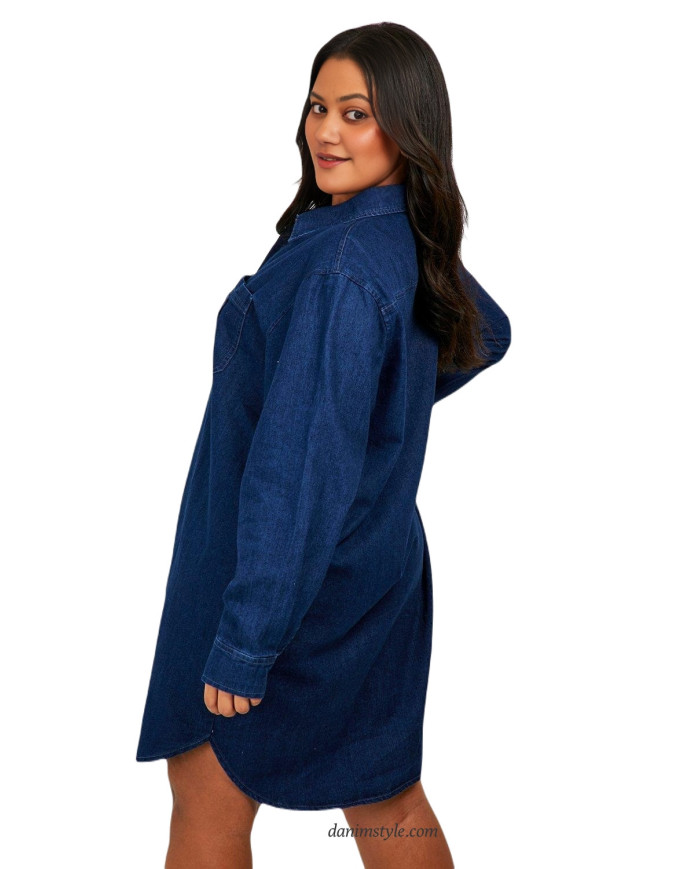 Denim Down Shirt Dress (Indigo)