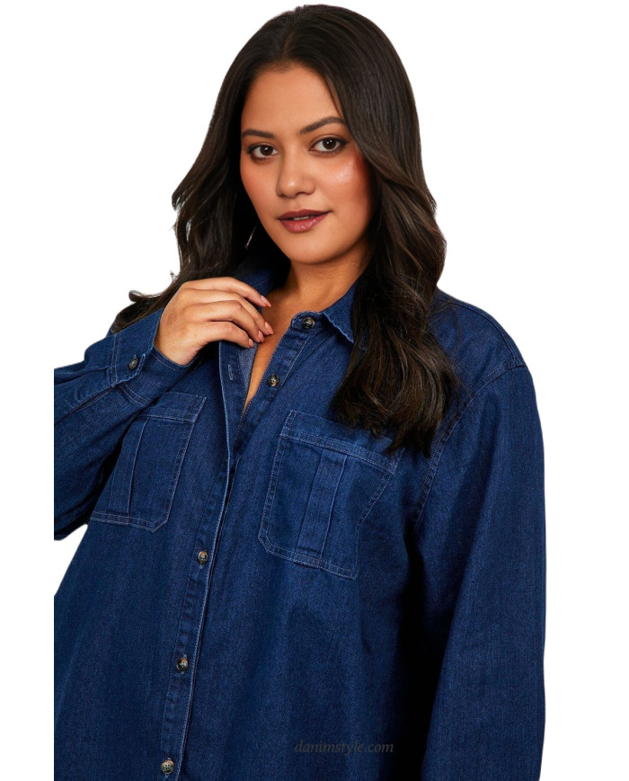Denim Down Shirt Dress (Indigo)